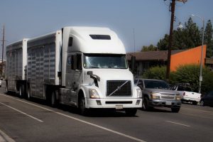 What Are Your Rights After Your Spouse is Killed in an Arizona 18-Wheeler Accident