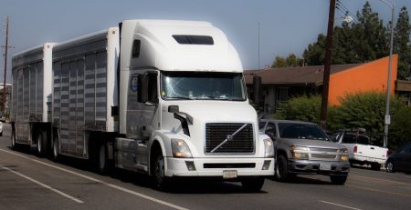 What Are Your Rights After Your Spouse is Killed in an Arizona 18-Wheeler Accident